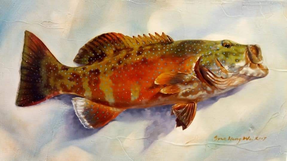 《豹鱠石班 Leopard Grouper》薛宏瑋